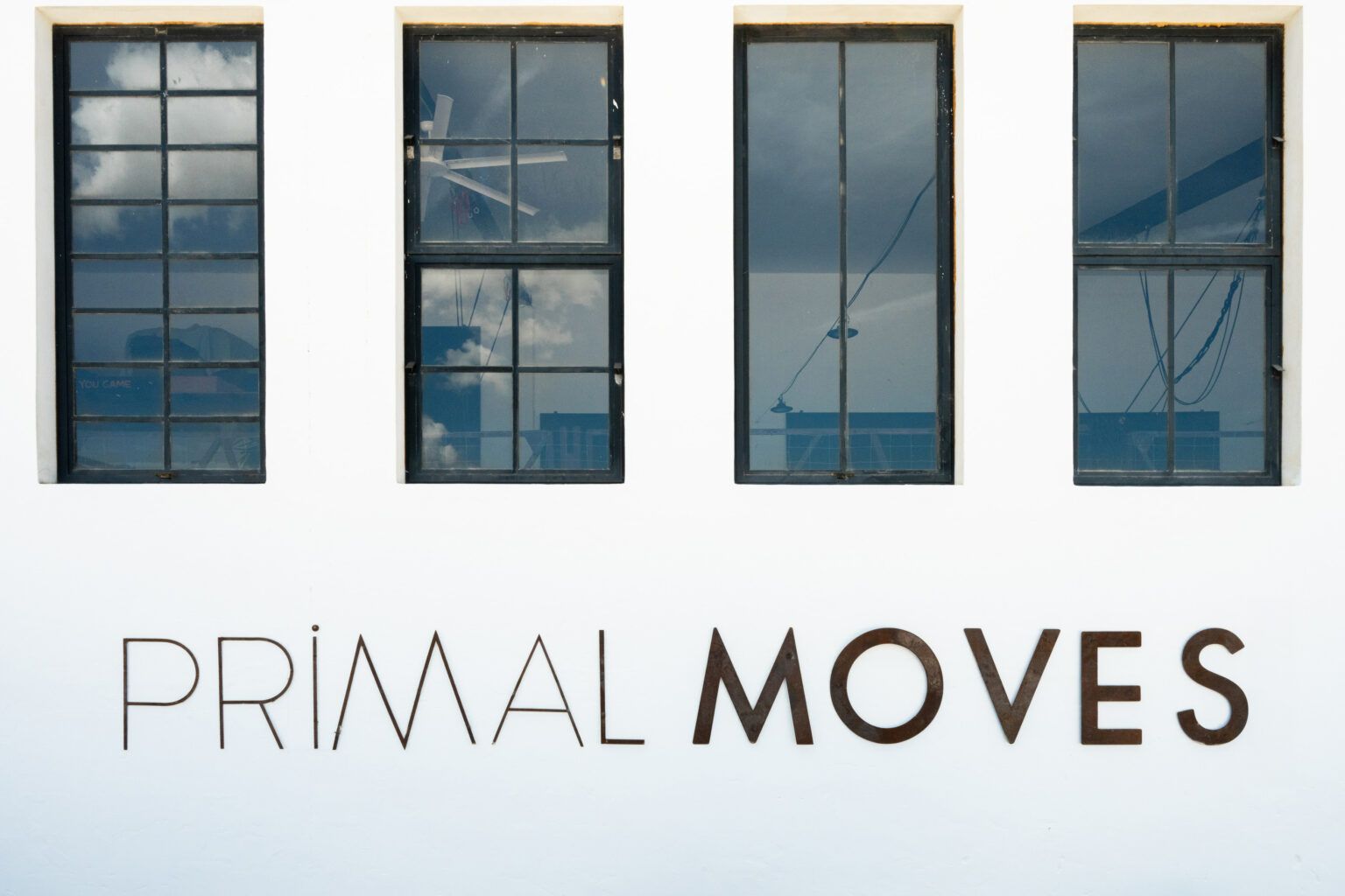 Find your primal studio